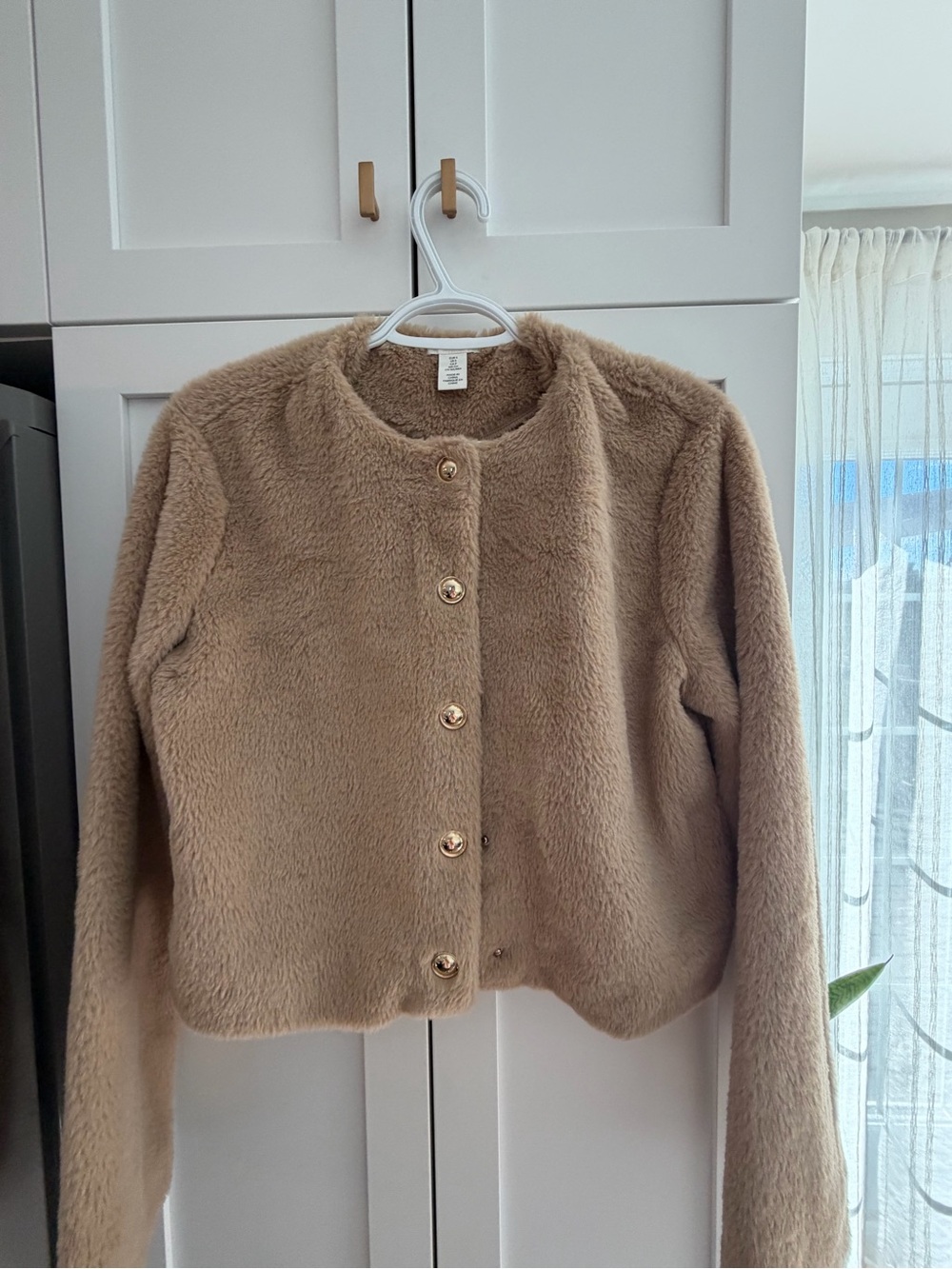 H&M Plush Faux-Fur Button Jacket in Camel